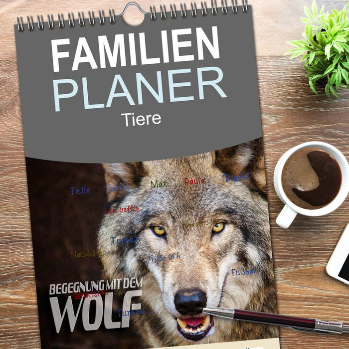 Begegnung mit dem Wolf (CALVENDO Familienplaner 2026)