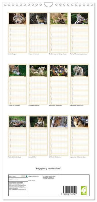 Begegnung mit dem Wolf (CALVENDO Familienplaner 2026)