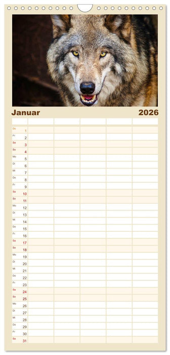 Begegnung mit dem Wolf (CALVENDO Familienplaner 2026)