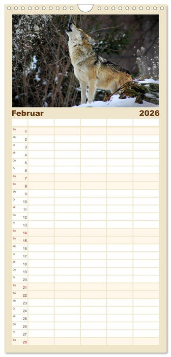 Begegnung mit dem Wolf (CALVENDO Familienplaner 2026)