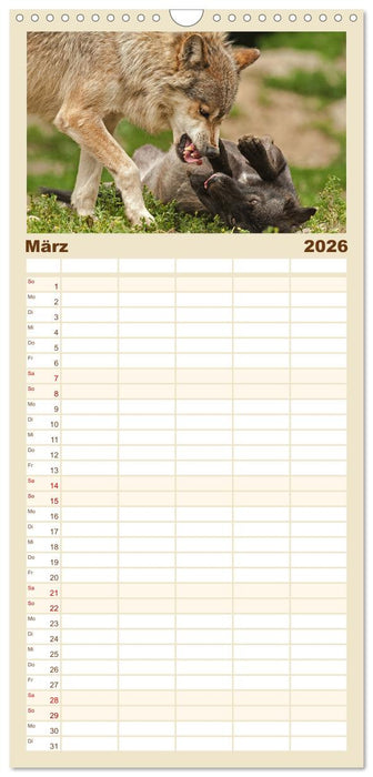Begegnung mit dem Wolf (CALVENDO Familienplaner 2026)