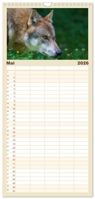 Begegnung mit dem Wolf (CALVENDO Familienplaner 2026)