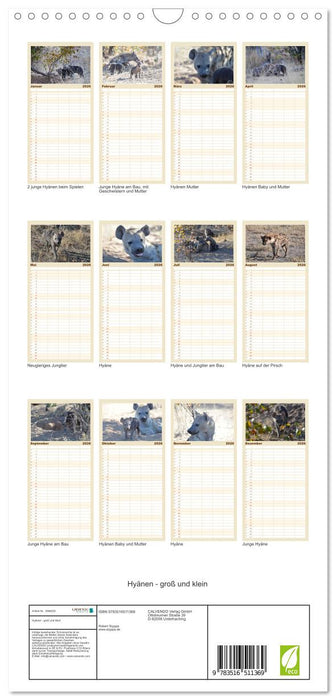 Hyänen - groß und klein (CALVENDO Familienplaner 2026)