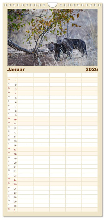 Hyänen - groß und klein (CALVENDO Familienplaner 2026)