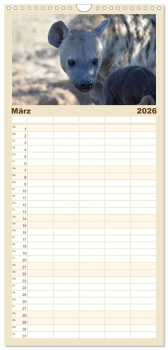 Hyänen - groß und klein (CALVENDO Familienplaner 2026)