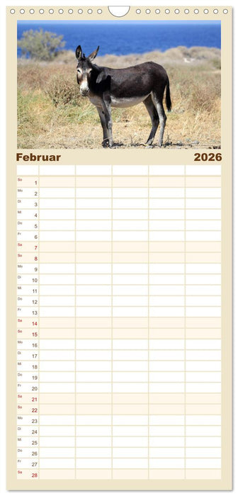 Griechenland - Von Epirus bis zu den Inseln (CALVENDO Familienplaner 2026)