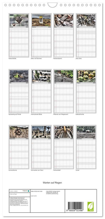 Warten auf Regen (CALVENDO Familienplaner 2026)