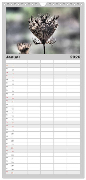 Warten auf Regen (CALVENDO Familienplaner 2026)