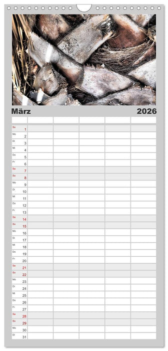 Warten auf Regen (CALVENDO Familienplaner 2026)