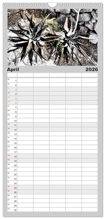 Warten auf Regen (CALVENDO Familienplaner 2026)