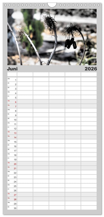 Warten auf Regen (CALVENDO Familienplaner 2026)