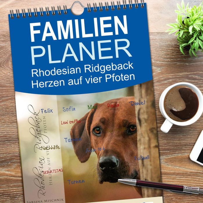Rhodesian Ridgeback - Herzen auf vier Pfoten (CALVENDO Familienplaner 2026)