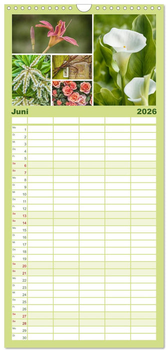 Ein Garten, der zum Verweilen einlädt (CALVENDO Familienplaner 2026)