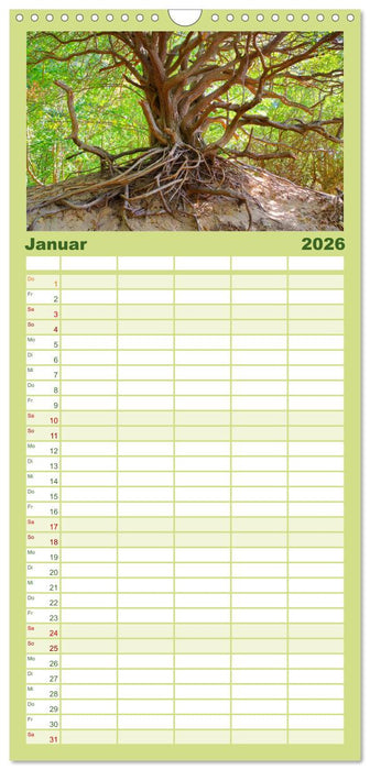 Insel Hiddensee - Dat söte Länneken (CALVENDO Familienplaner 2026)