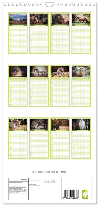 Die Faszinierende Welt der Pferde (CALVENDO Familienplaner 2026)