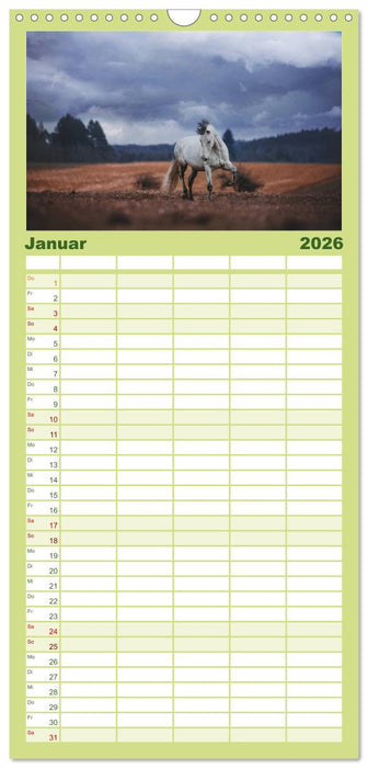 Die Faszinierende Welt der Pferde (CALVENDO Familienplaner 2026)