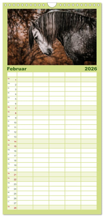 Die Faszinierende Welt der Pferde (CALVENDO Familienplaner 2026)