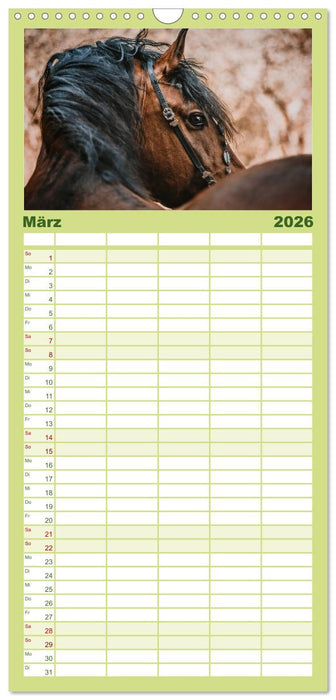 Die Faszinierende Welt der Pferde (CALVENDO Familienplaner 2026)