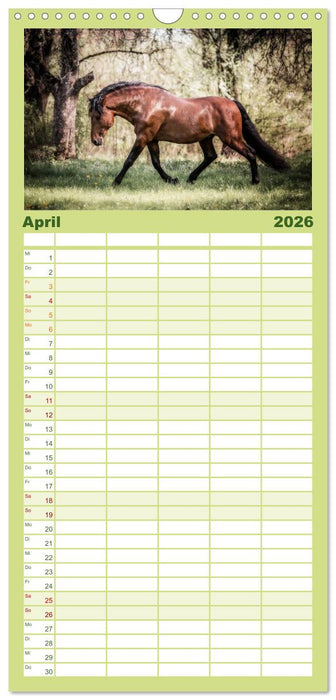 Die Faszinierende Welt der Pferde (CALVENDO Familienplaner 2026)