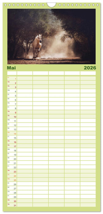 Die Faszinierende Welt der Pferde (CALVENDO Familienplaner 2026)