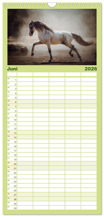 Die Faszinierende Welt der Pferde (CALVENDO Familienplaner 2026)