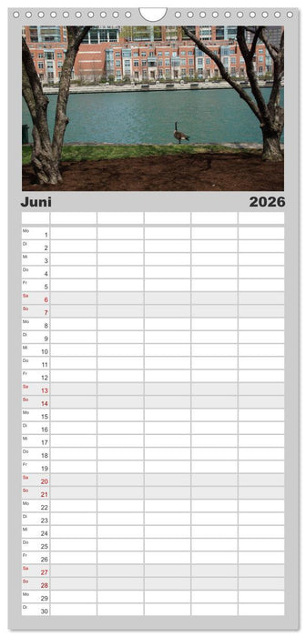 beeindruckendes Chicago (CALVENDO Familienplaner 2026)