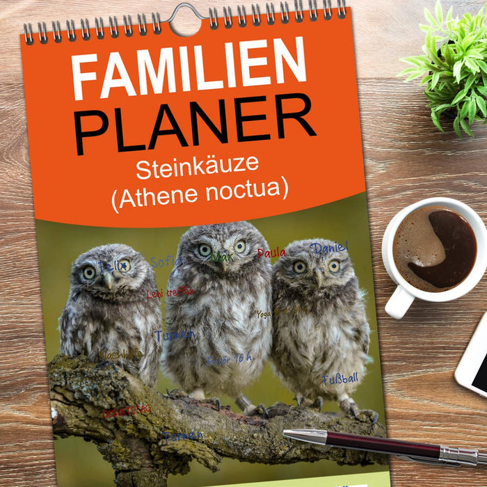 Steinkäuze (Athene noctua) (CALVENDO Familienplaner 2026)