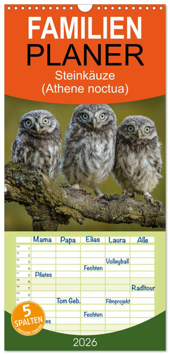 Steinkäuze (Athene noctua) (CALVENDO Familienplaner 2026)