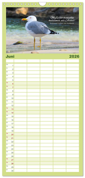 Ruhe und Gelassenheit 2026 (CALVENDO Familienplaner 2026)