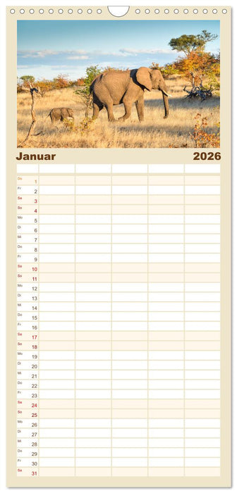 Babyelefanten (CALVENDO Familienplaner 2026)