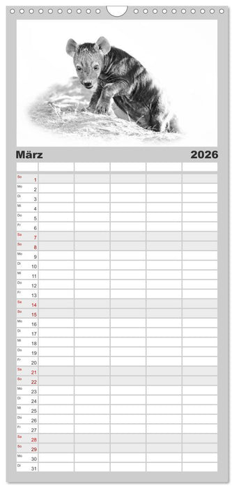 AFRIKA - Schwarz-weiss Fotografien im modernen "High Key" Look (CALVENDO Familienplaner 2026)