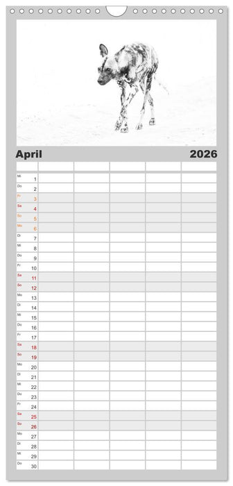 AFRIKA - Schwarz-weiss Fotografien im modernen "High Key" Look (CALVENDO Familienplaner 2026)