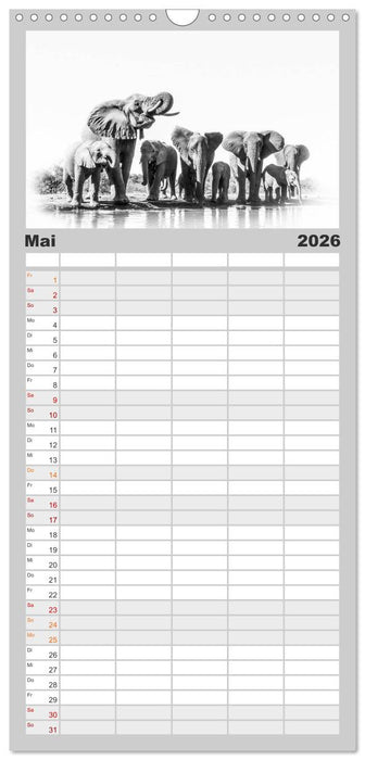 AFRIKA - Schwarz-weiss Fotografien im modernen "High Key" Look (CALVENDO Familienplaner 2026)