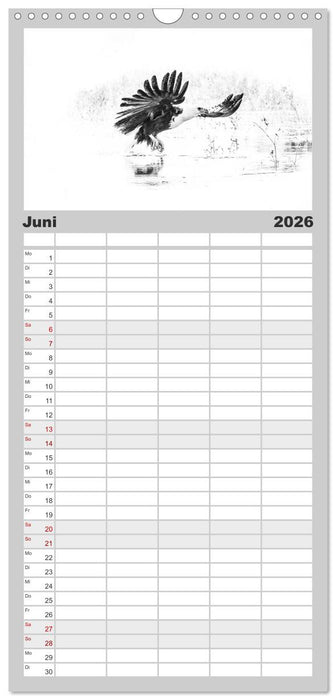 AFRIKA - Schwarz-weiss Fotografien im modernen "High Key" Look (CALVENDO Familienplaner 2026)