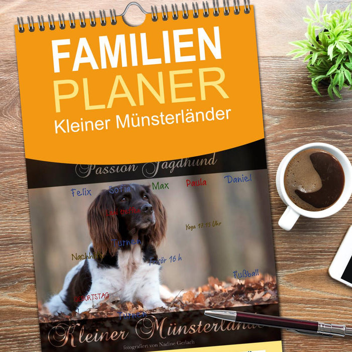 Passion Jagdhund - Kleiner Münsterländer (CALVENDO Familienplaner 2026)