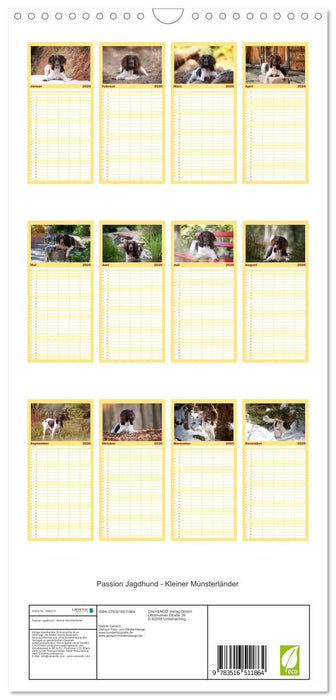 Passion Jagdhund - Kleiner Münsterländer (CALVENDO Familienplaner 2026)