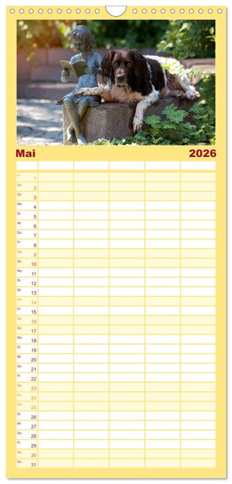 Passion Jagdhund - Kleiner Münsterländer (CALVENDO Familienplaner 2026)
