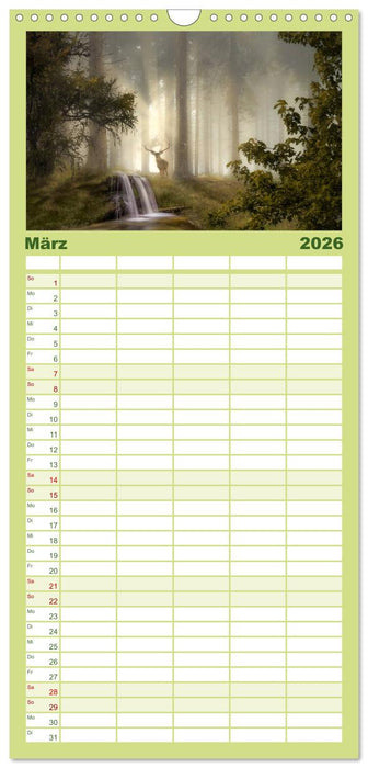 Waldgeheimnisse (CALVENDO Familienplaner 2026)