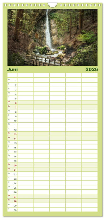 Waldgeheimnisse (CALVENDO Familienplaner 2026)