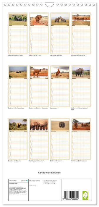 Kenias wilde Elefanten (CALVENDO Familienplaner 2026)