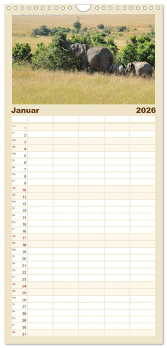 Kenias wilde Elefanten (CALVENDO Familienplaner 2026)