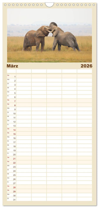 Kenias wilde Elefanten (CALVENDO Familienplaner 2026)