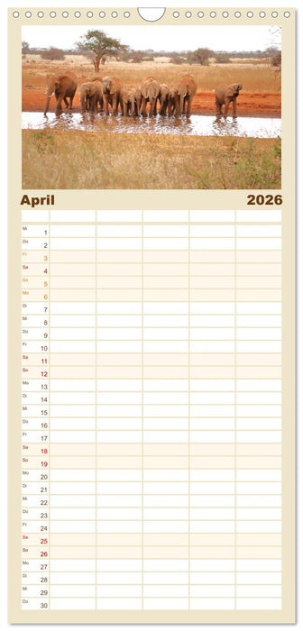 Kenias wilde Elefanten (CALVENDO Familienplaner 2026)