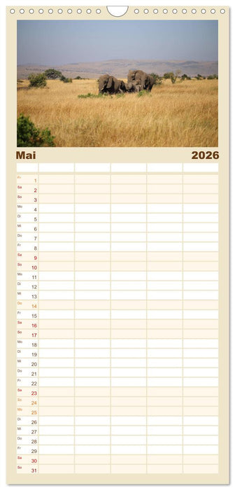 Kenias wilde Elefanten (CALVENDO Familienplaner 2026)