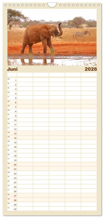 Kenias wilde Elefanten (CALVENDO Familienplaner 2026)