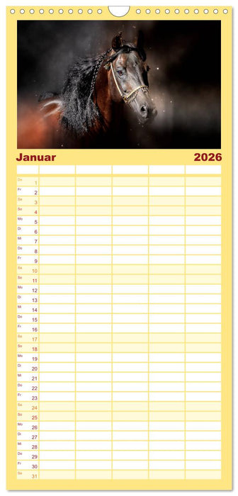 Eleganz und Schönheit - Pferde (CALVENDO Familienplaner 2026)