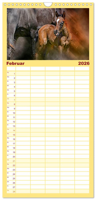 Eleganz und Schönheit - Pferde (CALVENDO Familienplaner 2026)