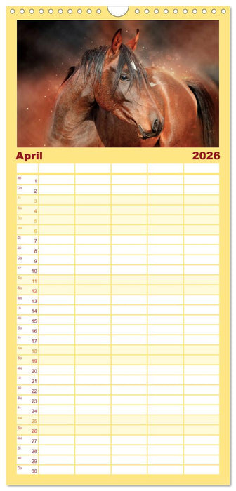 Eleganz und Schönheit - Pferde (CALVENDO Familienplaner 2026)