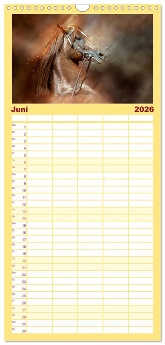 Eleganz und Schönheit - Pferde (CALVENDO Familienplaner 2026)