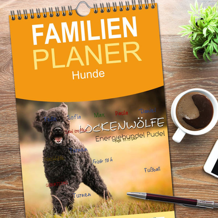 Lockenwölfe - Energiebündel Pudel (CALVENDO Familienplaner 2026)